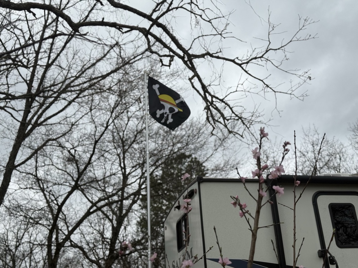 Cherry blossoms and flag at camp