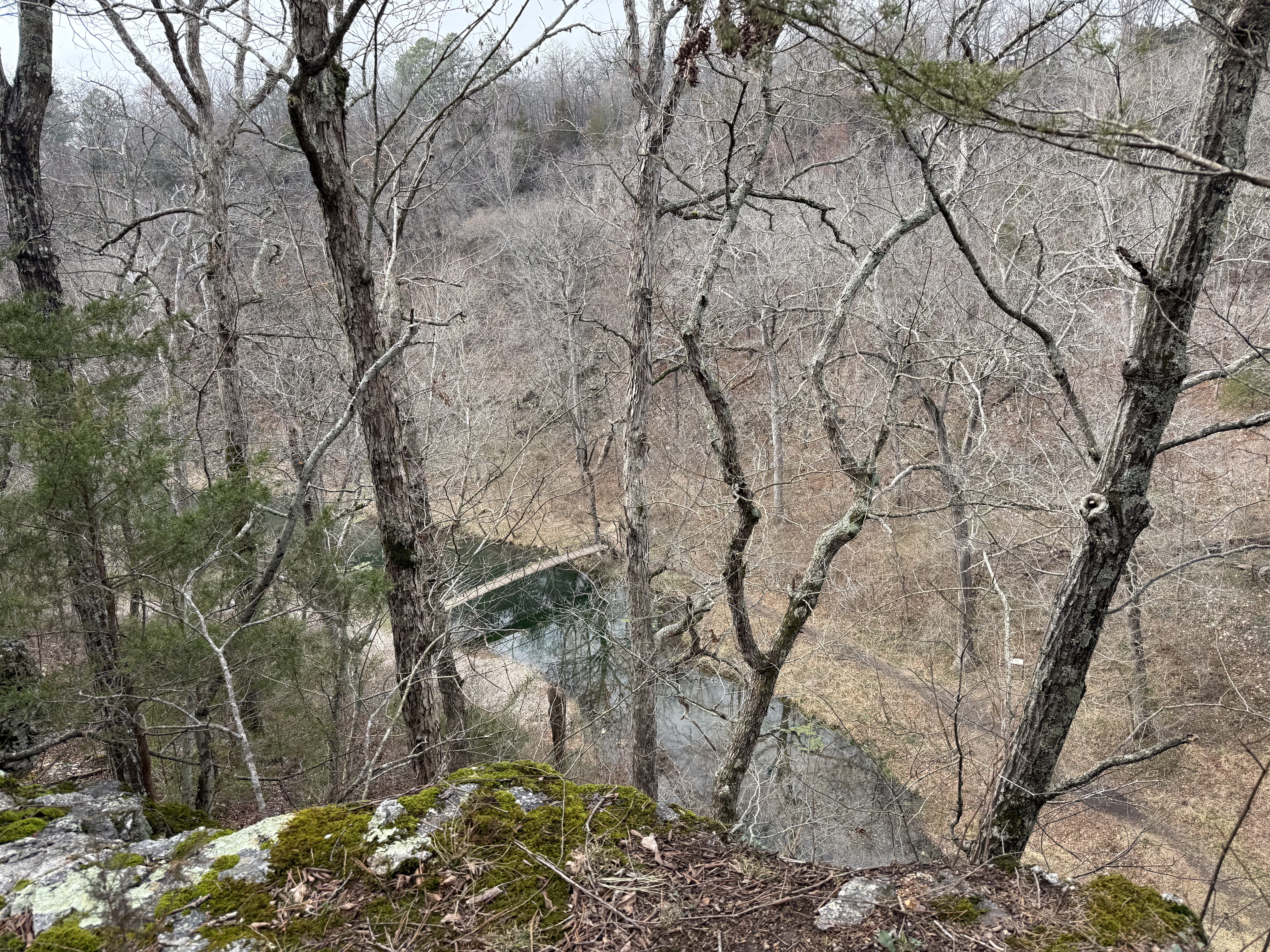 View through bare hardwoods down to emerald creek from limestone bluff