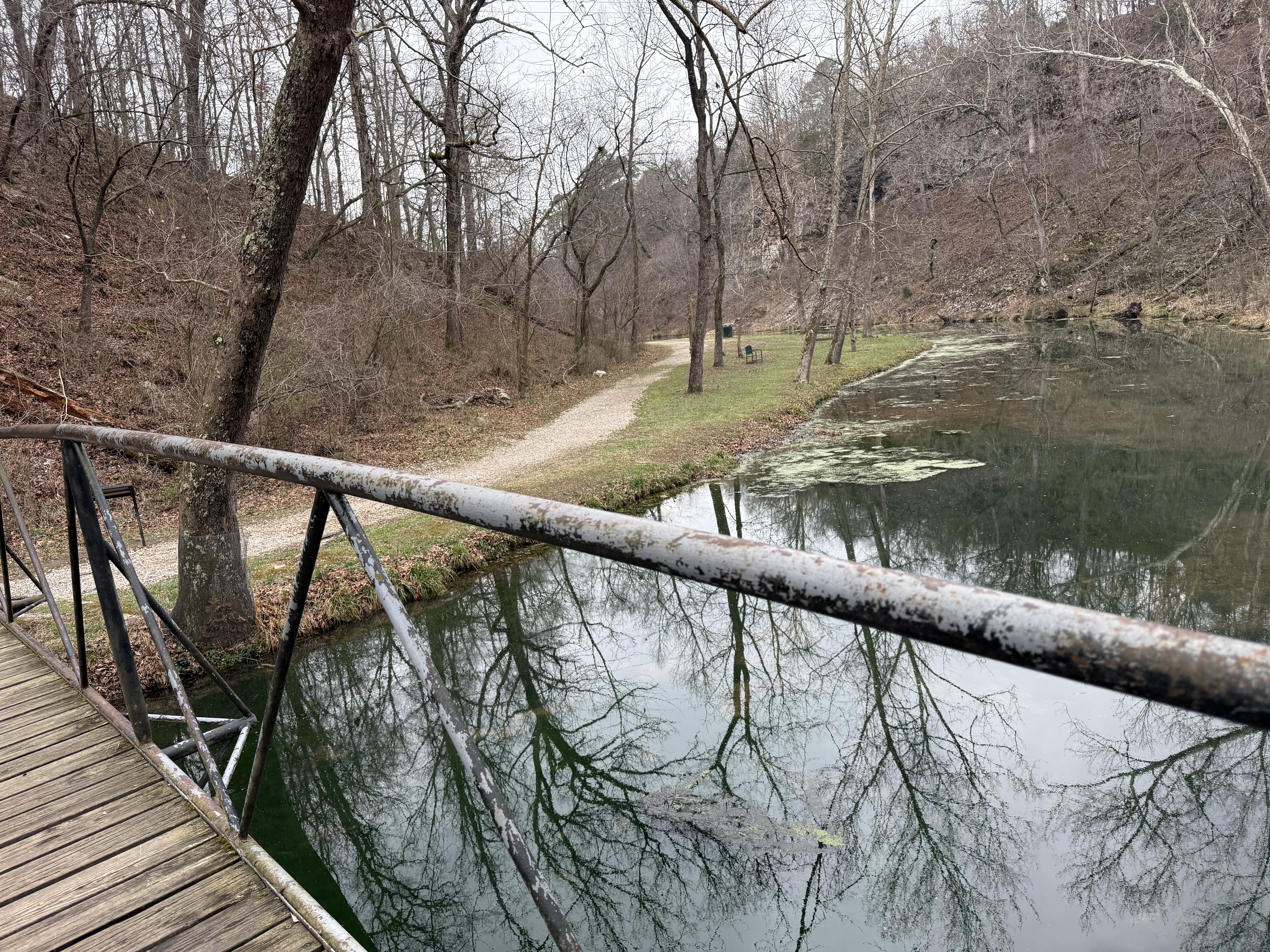 Footbridge over emerald creek at Natural Falls State Park