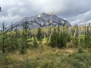 Mountain peak — Genesis Month