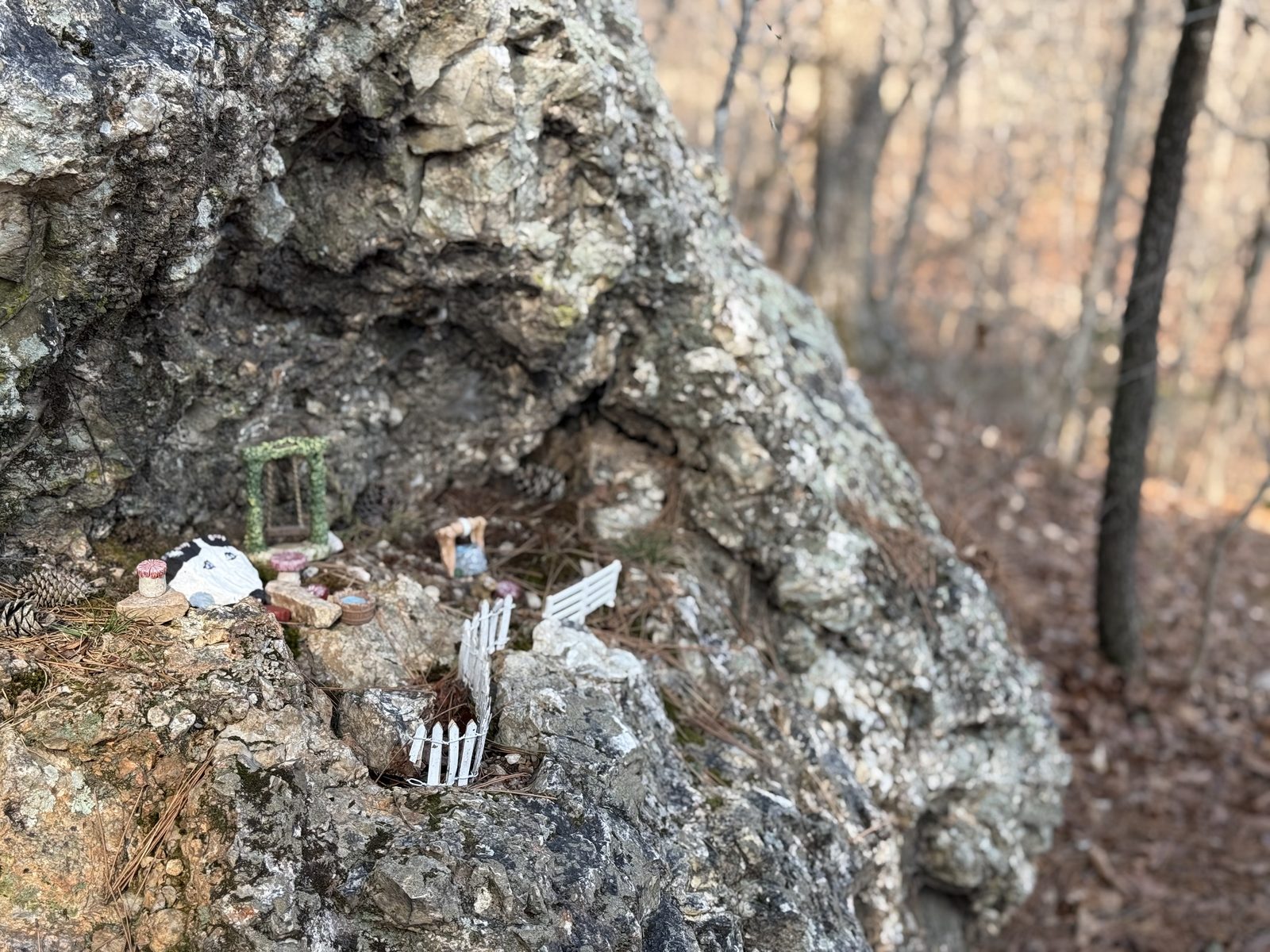 A miniature fairy garden with tiny white picket fences and figurines tucked into a limestone rock ledge