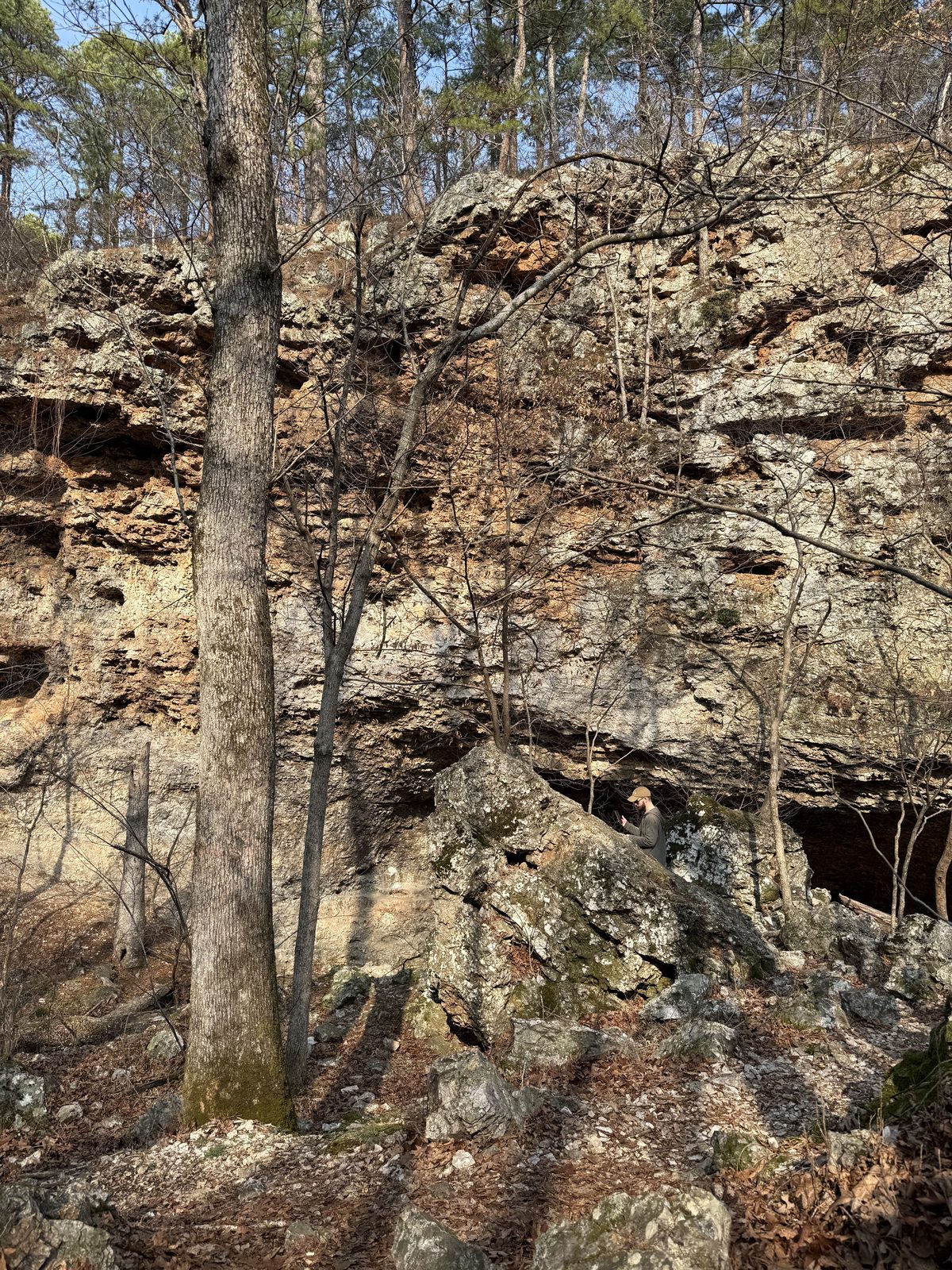 Full scale view of Ozark limestone bluff with bare winter hardwoods